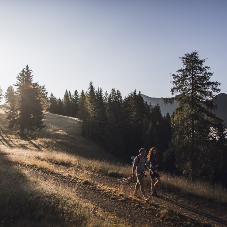 <p>Spazieren & Wandern</p>