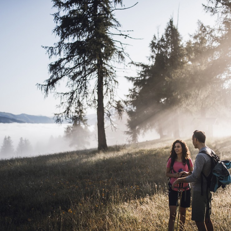 <p>Nature & outdoor activities</p>